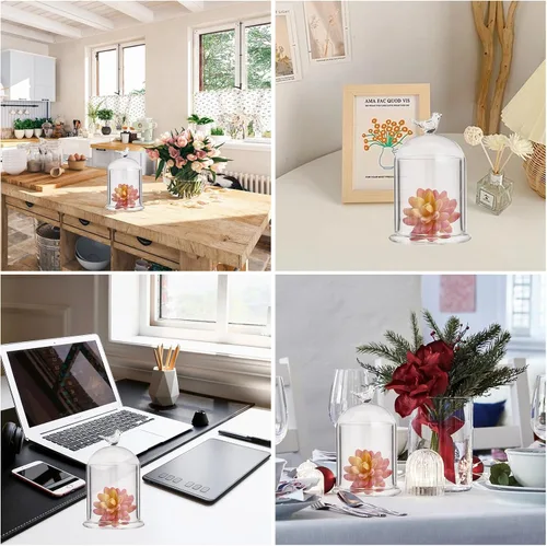 Miniatura 7 de CHGCRAFT Cubierta de cúpula de cristal con diseño de pájaro en forma de arco con base de vidrio, vitrina decorativa para portavelas, plantas