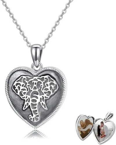 Collar con medallón de brújula para mujer, mariposa, You are My Sunshine, medallón de corazón de elefante que sostiene fotos, joyería vintage,