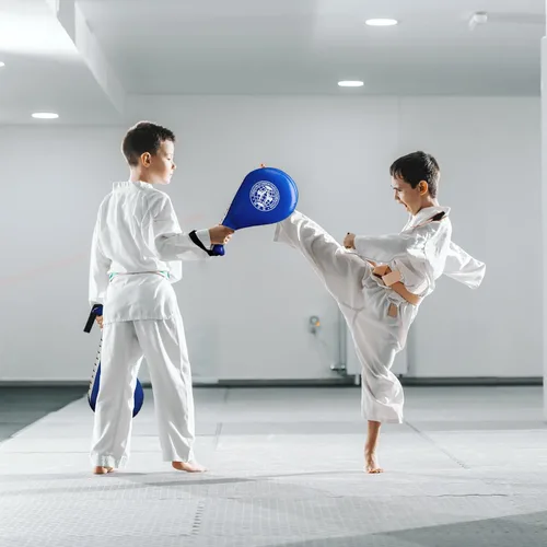 Miniatura 6 de Nicunom Paquete de 2 almohadillas de taekwondo, almohadilla duradera para ataque, karate, artes marciales, entrenamiento de kickboxing, color azul