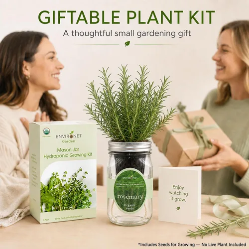 Miniatura 8 de Kit de cultivo hidropónico de hierbas Environet, kit de inicio de jardín de hierbas en tarro de vidrio Mason para interiores, jardín de hierbas