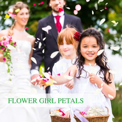 Miniatura 4 de 200 pétalos de rosa negros reales secos, pétalos de flores preservados de 1.75 onzas para regalos, decoración de fiesta de boda, niña de las flores