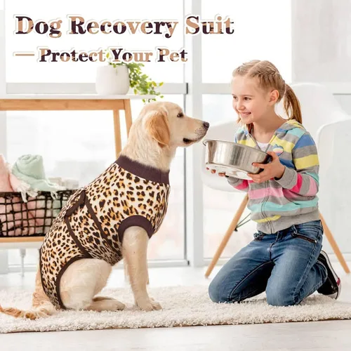 Miniatura 7 de Kuoser Traje de cirugía para perro, cómodo traje de recuperación para perros hembras para cirugía, mameluco protector posoperatorio, alternativa