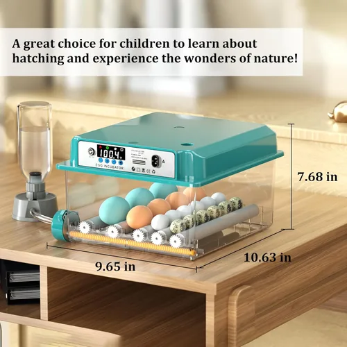 Miniatura 9 de Incubadoras para incubar 16 huevos, incubadora de huevos con giro automático de huevos y relleno de humedad, control de temperatura, incubadora