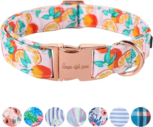 Unique style paws - Collar para perro con hebilla de metal, naranja, duradero, lindo collar para perros pequeños, medianos y grandes