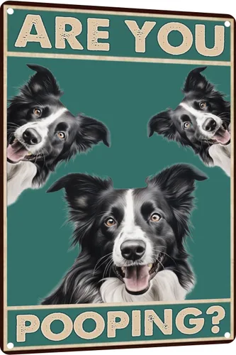 Letrero de metal con texto en inglés "Dog Border Collie Are You Pooping", letrero vintage divertido retro de aluminio para el hogar, cocina, baño,