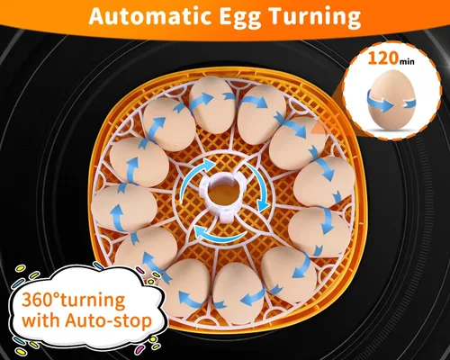 Miniatura 3 de Gpeng Incubadora de huevos, incubadora de 12 huevos con giro automático de huevos, control automático de temperatura, para incubar pollo, ganso