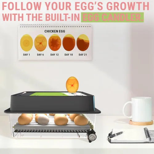 Miniatura 3 de Incubadora OBI-36 para incubar huevos, 36 huevos, fácil de usar, control estable de temperatura y humedad con aislamiento Eggloo, color verde