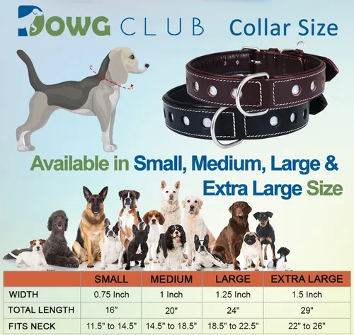 Miniatura 5 de Collar de Perro de Cuero Genuino Grano Completo, Resistente Cómodo, Acolchado, Fuerte Ideal para Cachorros, Razas Pequeñas, Medianas