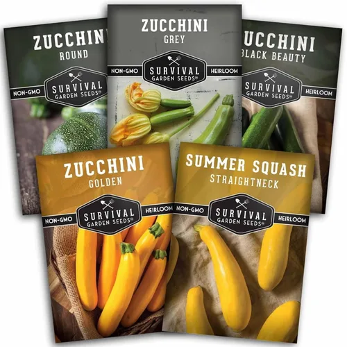 Survival Garden Seeds Bóveda de semillas de la colección Calabacín y Calabacín – Semillas de reliquia sin OMG para plantar verduras – Surtido de
