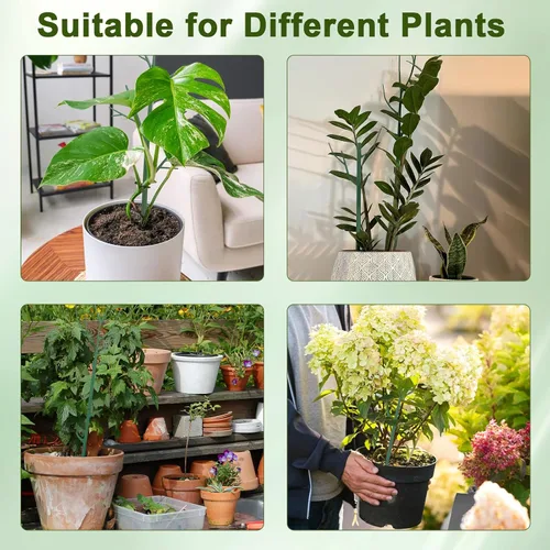 Miniatura 7 de Paquete de 5 Estacas Apilables de Soporte para Plantas, Estructuras de Soporte para Plantas Trepadoras para Monstera, Pothos, Philodendron, Estacas