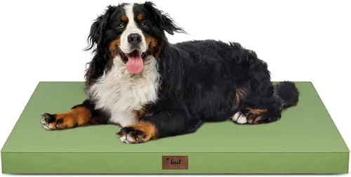 Miniatura 45 de Cama ortopédica de felpa para perros y cachorros medianos, camas impermeables para perros de 30 x 20 pulgadas con funda extraíble lavable, tapete