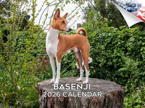 Miniatura 139 de Calendario 2025 2026 de cachorros Cocker Spaniel - Calendario mensual de pared de raza de perro - 12" x 24" abierto - Papel grueso sin sangrado