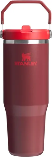 Miniatura 103 de Stanley IceFlow - Vaso con pajilla abatible con asa, de 20 onzas, tapa giratoria y popote abatible, botella de agua resistente a fugas, acero