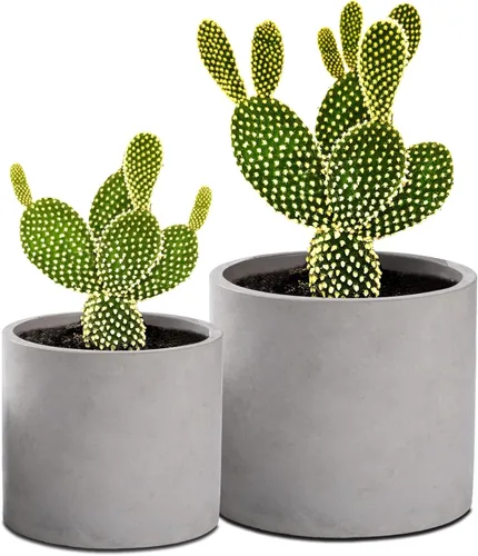 Miniatura 12 de Ekirlin Maceta de interior de 6 pulgadas, macetas de jardín gris de cemento natural, macetas de hormigón para exteriores con bandeja de platillo