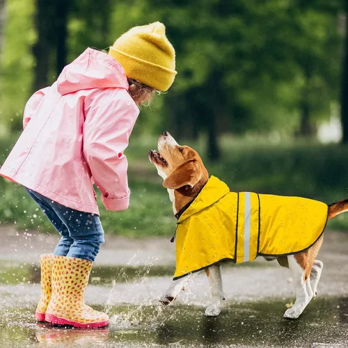 Miniatura 5 de Impermeable con Capucha para Perro de Moda con Agujero para Correa - Chaqueta Impermeable Reflectante para Perro Impermeables Ajustables para Perros