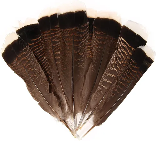 Miniatura 11 de 20 plumas de faisán hembra, plumas naturales de cola de cuello anillado, 6-8 pulgadas, 15-20cm para manualidades, hogar, boda, fiesta, actuación