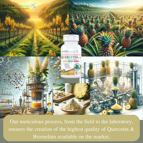 Miniatura 5 de QUERCETIN PLUS, quercetina 1,000 mg, bromelina 500 mg y vitamina C 1,000 mg, (120 cápsulas), 3 en 1 de bioflavonoides, apoya la salud inmunológica