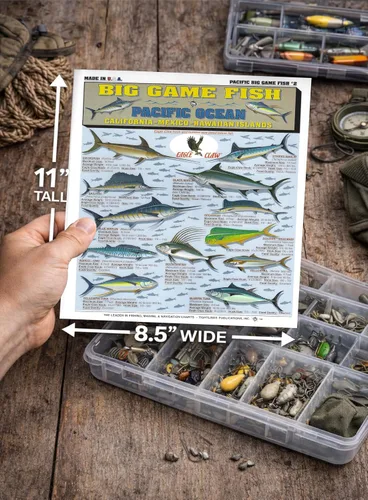 Miniatura 4 de Saltwater Fish Identification Chart #1 - Waterproof Quick Reference Fishing Guide - Species ID + Fishing Methods