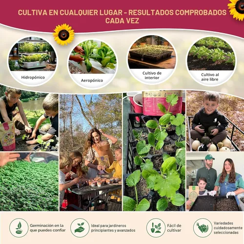 Miniatura 5 de Paquete variado de 20 semillas de verduras, más de 12,465 semillas de reliquia sin OMG para plantar verduras y frutas en paquetes de semillas