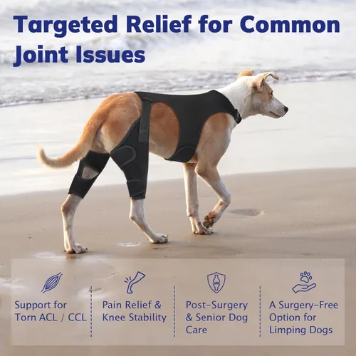 Miniatura 3 de Rodillera para perro para pierna trasera de ACL desgarrada, soporte de pierna de perro con estabilizadores de metal para desgarro CCL, limpado