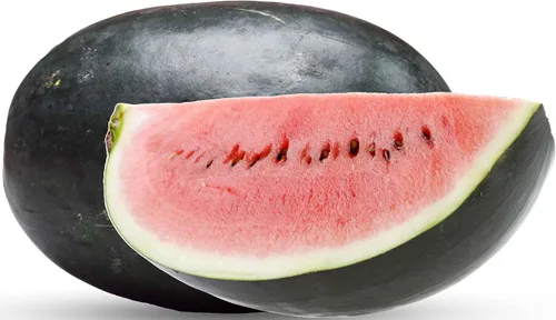 Miniatura 75 de 50 Hale's Best Cantaloupe Seeds for Planting - Sweet Aromatic Heirloom, Non-GMO, USA Grown by RDR Seeds