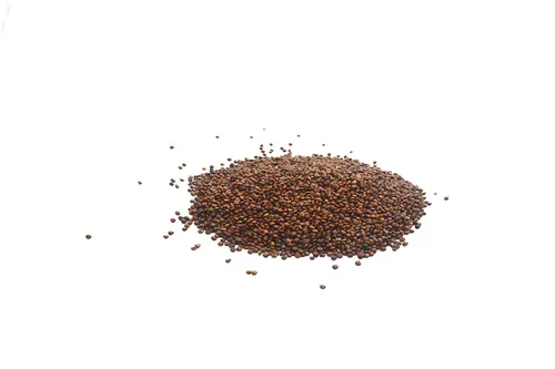 Miniatura 3 de Grano entero orgánico rojo de quinua real sin OMG sin gluten a granel (12 onzas)