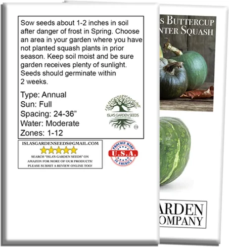 Miniatura 6 de Burgess Buttercup Winter Squash, 25 semillas tradicionales por paquete, semillas sin OMG, nombre botánico: Cucurbita Maxima, Isla's Garden Seeds