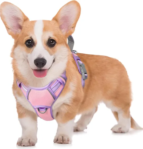 Miniatura 73 de BARKBAY Arnés para Perro Sin Tirones Talla Grande Arnés Reflectante para Perro con Clip Frontal y Asa de Control Fácil para Caminar Entrenar Correr