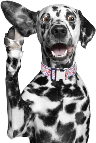 Miniatura 2 de Lindo collar para perros XS, pequeños, medianos y grandes, collar de nailon suave para mascotas, con estampado 3D multicolor, collares ajustables 5