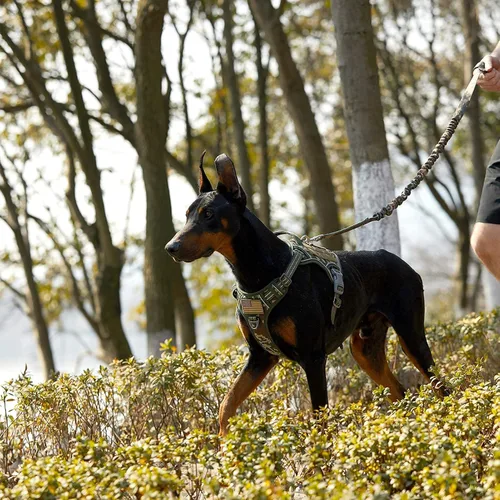Miniatura 4 de BUMBIN Arnés para perros medianos sin tirones, arnés táctico para perro, con asa, arnés de chaleco ajustable para perro, correa elástica de 6 pies