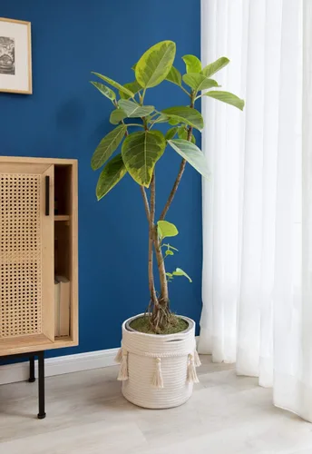 Miniatura 7 de Mkono Cesta Decorativa de Cuerda de Algodón de Macramé Boho Linda Tejida con Borlas Contenedores de Almacenamiento para Armario Organizador