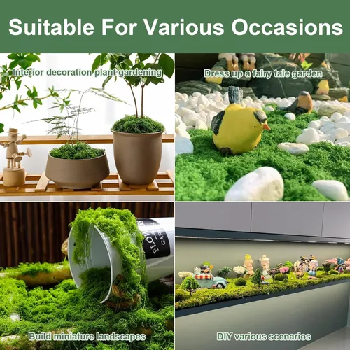 Miniatura 8 de MGLIFEUL Musgo artificial artificial de 1.125 libras para manualidades, plantas de interior con guantes antiadherentes y pinzas, musgo artificial
