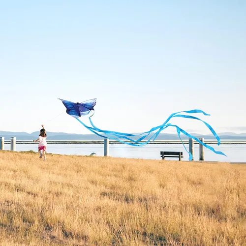 Miniatura 7 de Simxkai Cometas para niños y adultos, cometas de playa, fáciles de volar para niños de 3 a 5 años con cuerda de cometa de 300 pies en cada mango