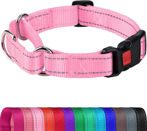 Miniatura 11 de Joytale - Collar martingale para perros, reflectante de alta resistencia para seguridad, hebilla de liberación rápida, collares ajustables de nailon