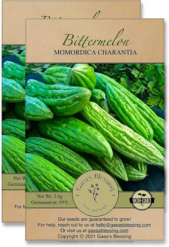 Miniatura 7 de Gaea's Blessing Semillas – Semillas de melón amargo – Semillas de calabaza amarga herencia de melón amargo sin OMG con instrucciones de siembra