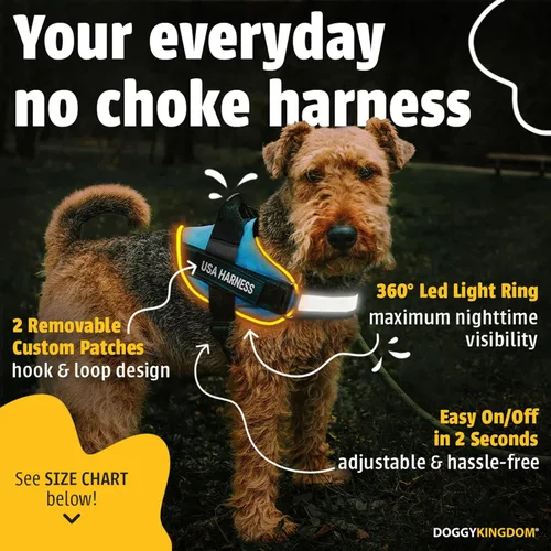 Miniatura 2 de DOGGYKINGDOM Arnés LED personalizado sin tirones para perro con parches de nombre personalizados, recargable por USB, ajustable, reflectante
