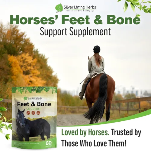 Miniatura 6 de Silver Lining Herbs Suplemento para pies y huesos para caballos en polvo, tendones naturales, ligamentos y tejidos circundantes y suplemento