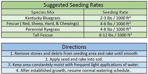 Miniatura 2 de Jacklin Seed de Barenbrug - Heisman Mix 85% Kentucky Bluegrass, 15% Ryegrass perenne Semilla de césped certificada (5 libras