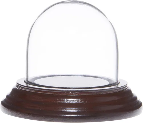 Plymor 1.875" x 1.875" Mini cristal Display Dome Cloche (base de chapa de caoba oscura)