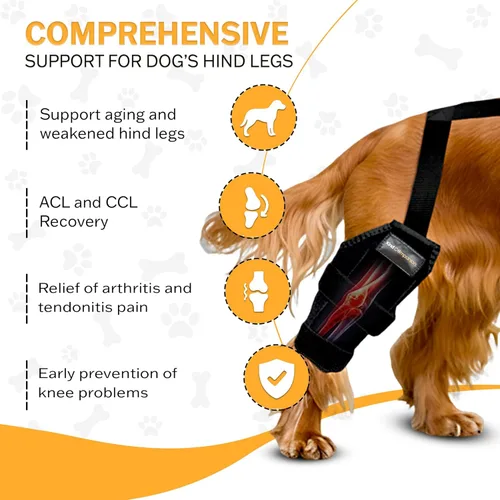 Miniatura 6 de Rodillera para perro – Soporte ajustable para pierna trasera para desgarro de ACL, dolor en las articulaciones, artritis y recuperación de lesiones.