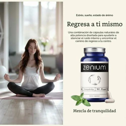 Zenium - Alivia el estrés, la tensión, la preocupación, el nerviosismo y la irritabilidad | Calma la mente y el cuerpo | Ayurvédico | Suplemento de