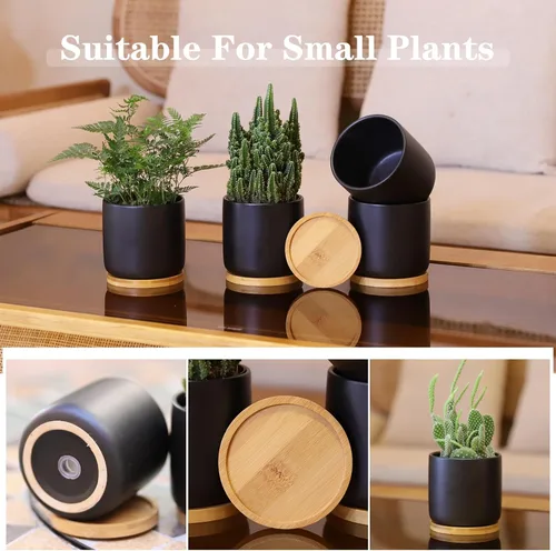Miniatura 5 de Macetas de cerámica de 4 pulgadas con agujeros de drenaje, adorable maceta con bandeja para plantas de interior, suculentas, plantas de serpiente