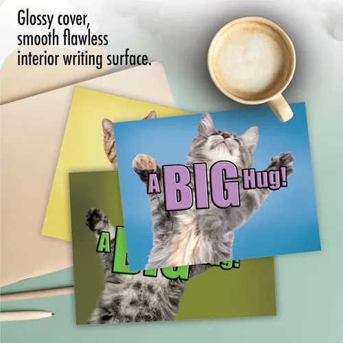 Miniatura 5 de The Best Card Company - 10 tarjetas de gato en blanco para todas las ocasiones (4 x 5.12 pulgadas) - Lindo juego de tarjetas a granel surtido - Cat