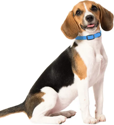 Miniatura 6 de MiMu Collar pequeño de silicona para perro, collar de perro elegante azul de 18 pulgadas con hebilla de punta y bucle de correa con anillo en D