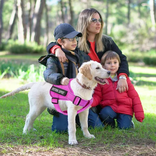 Miniatura 5 de voopet Arnés para perro de servicio, arnés de chaleco de apoyo emocional para mascotas, arnés reflectante transpirable y ajustable para perros