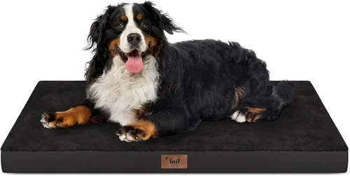 Miniatura 39 de Cama ortopédica de felpa para perros y cachorros medianos, camas impermeables para perros de 30 x 20 pulgadas con funda extraíble lavable, tapete