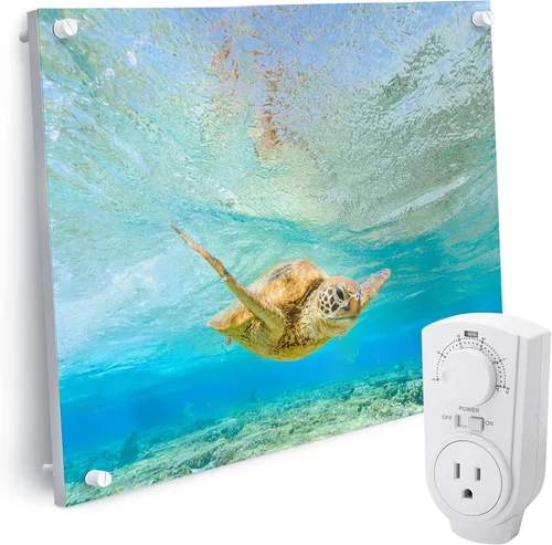 Miniatura 9 de EconoHome - Panel calefactor de pared con termostato - Calefactor eléctrico montado en pared para uso interior - Calefactor convector de 400 vatios