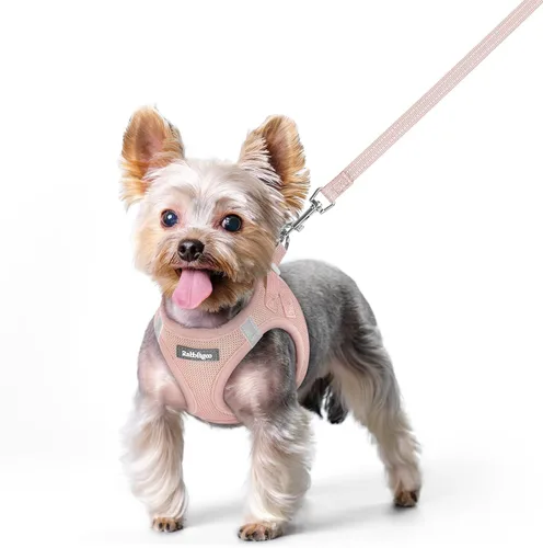 Miniatura 127 de rabbitgoo Juego de arnés para perro de tamaño pequeño y correa, chaleco ligero suave para cachorro, arnés de malla transpirable para mascotas