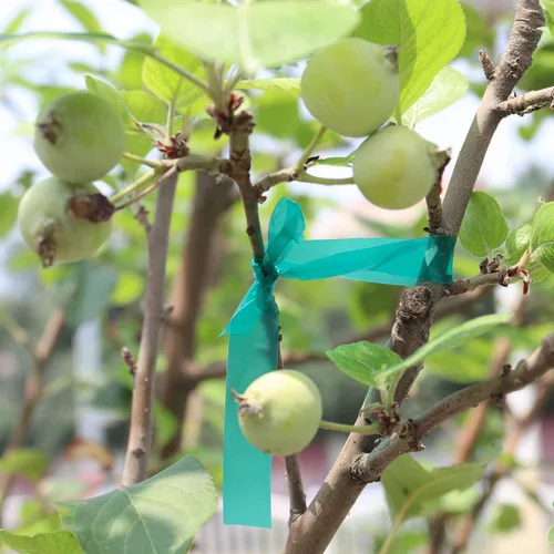 Miniatura 9 de Cinta de amarre de jardín de 0.45 pulgadas y 290 pies, rollo de cinta elástica para plantas, resistente cinta de plantas de PVC verde jardín