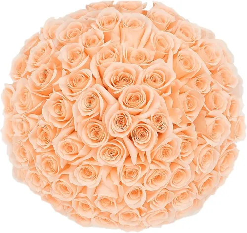 Miniatura 26 de GlobalRose Ramo de 100 Rosas Melocotón - Rosas de Origen Responsable Flores Frescas - Ramo Fresco de Flores Seleccionadas a Mano para Graduación